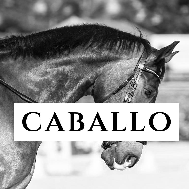 para-el-caballo